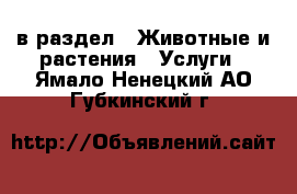  в раздел : Животные и растения » Услуги . Ямало-Ненецкий АО,Губкинский г.